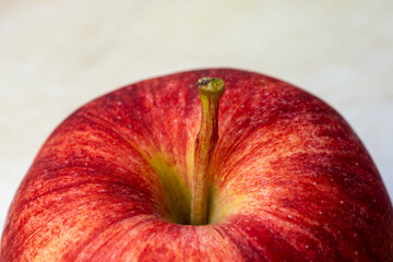 Gala apple on a white cutting board.  Close up top view.