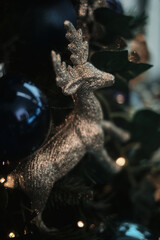 natal