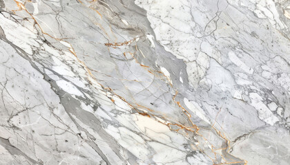 The image shows intricate designs on a marble surface with a focus on fine details