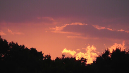 Obraz premium Purple Sunset Over The Trees