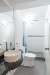 full bathroom with toilet and shower