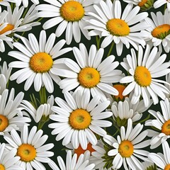 Fototapeta premium Romantic White Floral Bouquet Cutout with Chamomile Daisies on Transparent Background