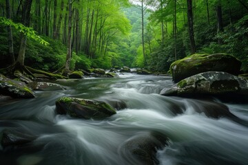 Obraz premium In the North Carolina Blue Ridge Mountains, a cool, refreshing stream cascades down the mountains.