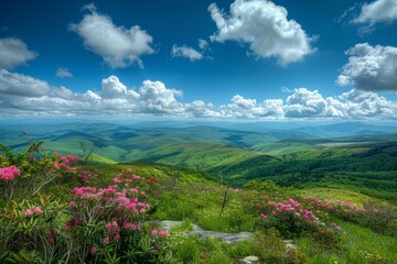 Summer does not get any better than this amazing view of the Roan Mountain balds on the border of North Carolina and Tennessee.