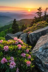 The Linville Gorge Wilderness Area features a Rhododendron spring bloom on Hawksbill Mountain.