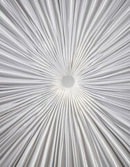 white background illustration graphic