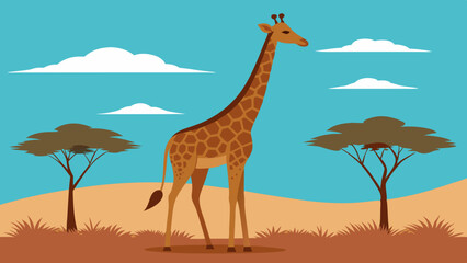 giraffe in the savannah