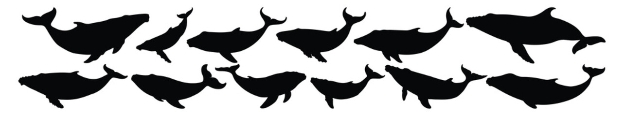 Whale silhouettes set, pack of vector silhouette design, isolated background © FutureFFX