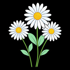 Charming Daisies on Plain Background Timeless Floral Beauty