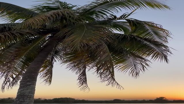 Atardecer naranja en el puerto Tuxpan 