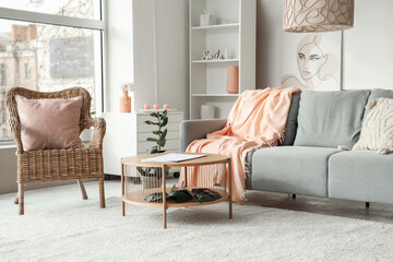Interior of modern stylish living room with grey sofa and plaid