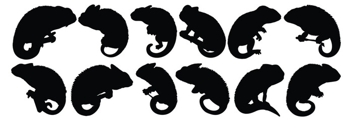 Chameleon silhouette set vector design big pack of illustration and icon © Catnip