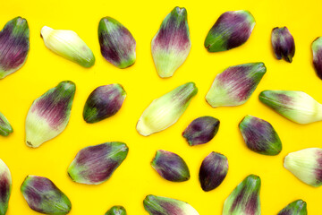 Artichoke petals on yellow background.