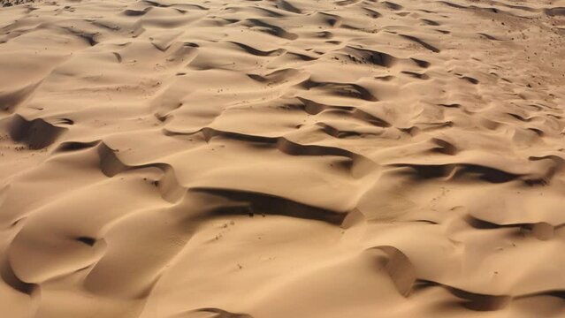 Desierto de altar, sonora M&eacute;xico 