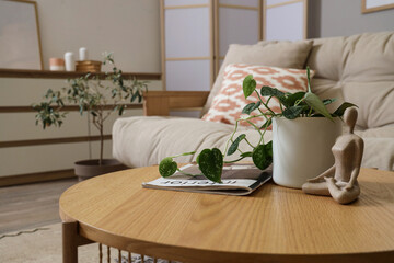 Plant with statuette and magazine on table in living room, closeup