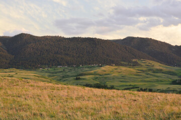 Pink haze mountainside in Wyoming 