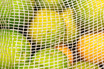 Close up of bundle of oranges 
