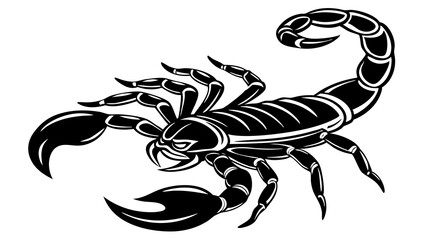 scorpion isolated on white background