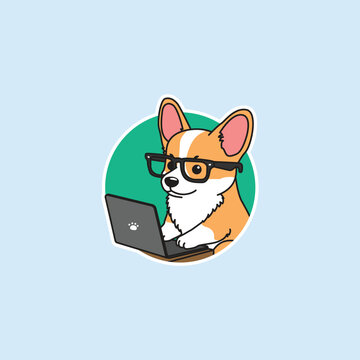 Cute corgi dog working on a laptop, vector illustration