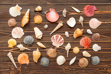 Many different sea shells on wooden background