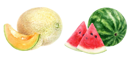 Cantaloupe and Watermelon are fresh and luscious summer fruits, packed with flavor and hydration
