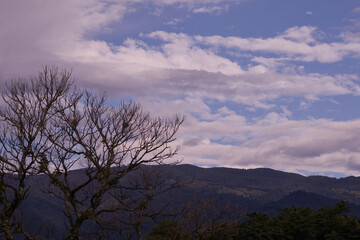 parte de árbol con nubes en el cielo y montañas de fondo