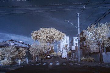infravermelho