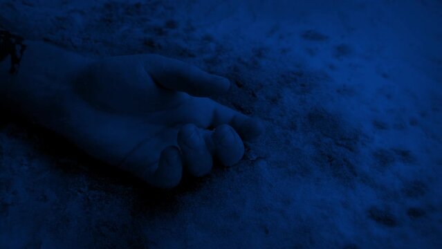Police Photograph Bloody Arm On The Snow At Night
