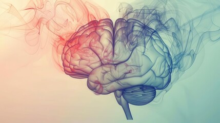 artistic rendition of human brain with intertwining heart minimalist line art style soft gradient background delicate balance of logic and emotion