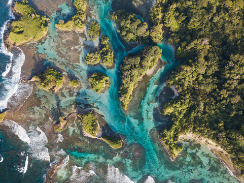 Aerial view, tropical forested islands with mangroves in the sea, Escudo de Veraguas, Panama, Central America