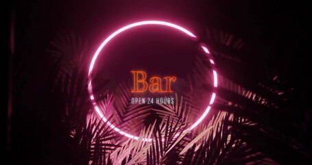 Image of bar open 24 hours text over neon frame and tropical leaves on black background