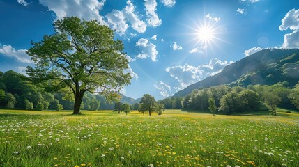 Fototapeta premium Sun-kissed meadows in idyllic setting