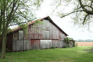 Obraz premium Barn Front