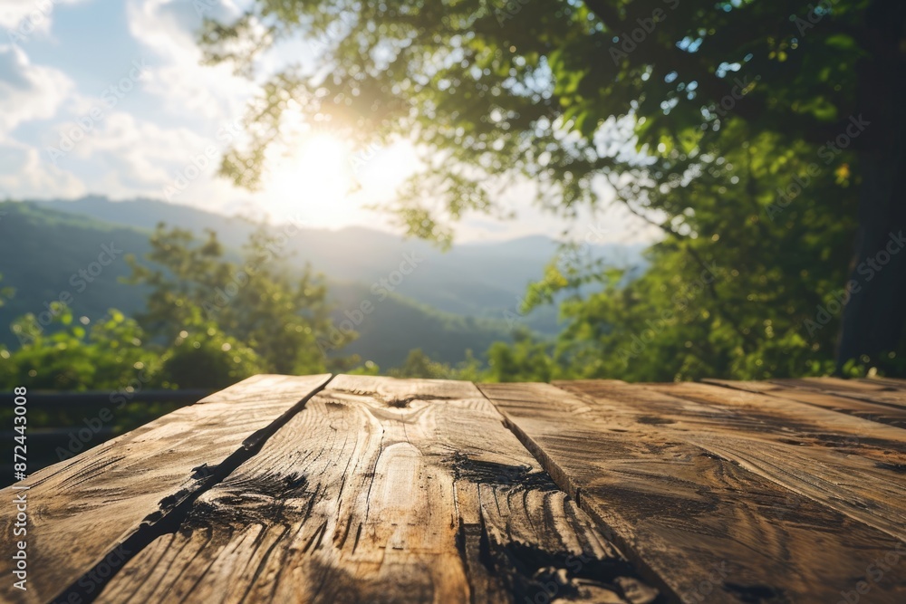 Poster the picture of the wood table in the middle of the forest that surrounded with an uncountable amount