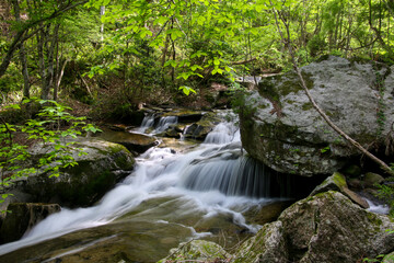 Fototapeta premium 泉源渓谷