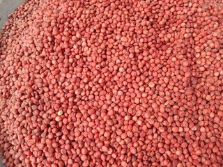 Top view of Hybrid sorghum sudan grass red seeds pile displayed in order on vendor's.Sorghum ×...