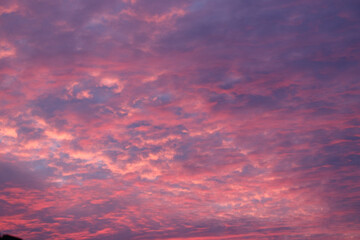 Stunning sky filled with vibrant pink and purple clouds at sunset, creating a dramatic and colorful backdrop.