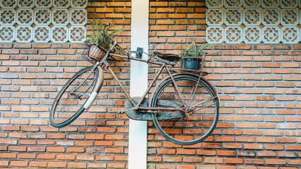 Straight angle view of An old rusty bicycle left abandoned, hanging on the wall of the backyard with a green plant pot that looks lush and flourishing