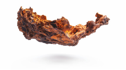 Natural Chaga Mushroom Extract, Beauty and Health Concept on White Background