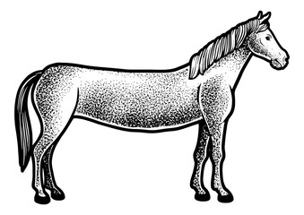 Long horse limousine sketch engraving PNG illustration. T-shirt apparel print design. Scratch board imitation. Black and white hand drawn image.