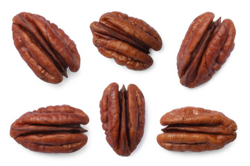 Many pecan nuts isolated on white, set