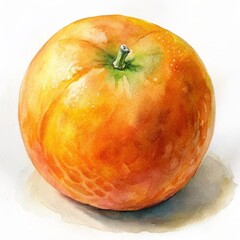 Fototapeta premium Close-up of a watercolor whole orange isolated on white background.