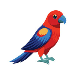 Illustration of Crimson Rosella on white