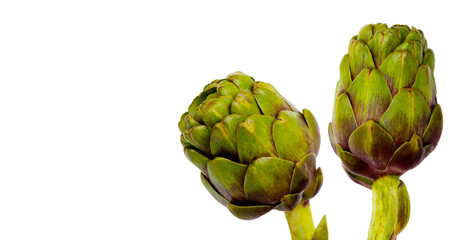 Fototapeta premium Purple artichoke on white background.