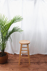 Studio setup with a wooden stool, potted plant, and white curtain backdrop