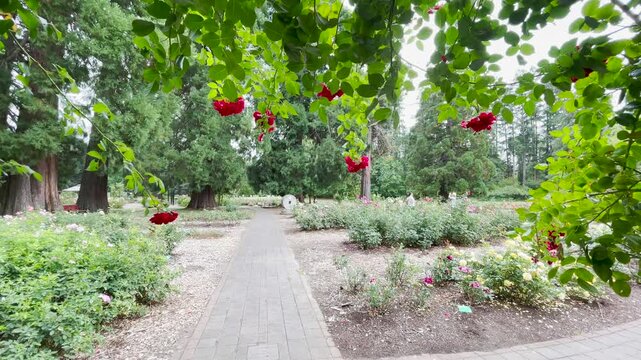 Avery Park Corvallis, Oregon, is a popular city park with many trees and plants.