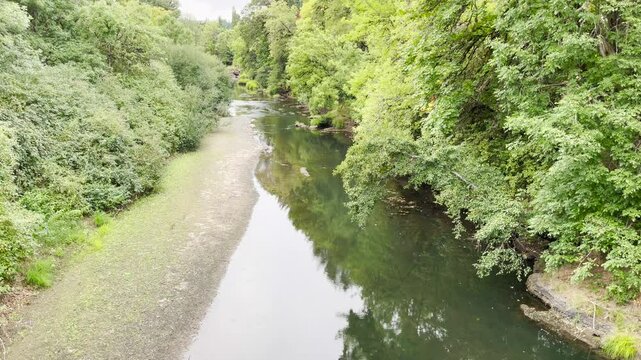 Alsea River at Avery Park Corvallis, Oregon. Tilt-Up Shot.