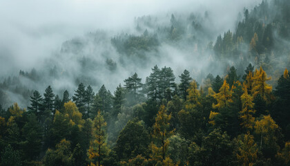 mist in the mountains