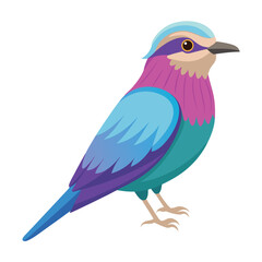 Illustration of Lilac-Breasted Roller on white