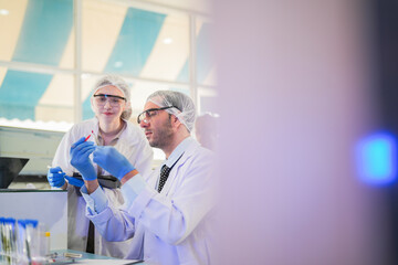 scientists perform experiments and record data. people arranges equipment with test tubes and chemicals for producing medicine and biochemistry. man hold tubes of chemical liquids and plant samples.